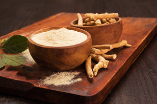 THE NEED TO KNOW ON ADAPTOGENS