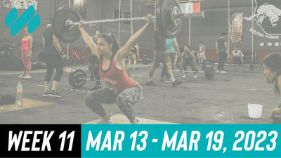 Daily Workouts W11