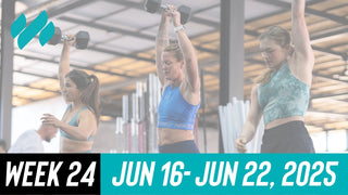Daily Workouts W24