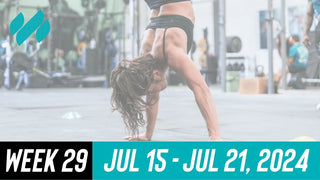 Daily Workouts W29