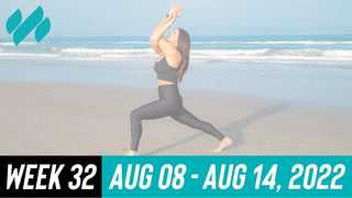 Daily Workouts W32