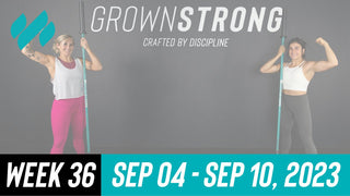 Daily Workouts W36