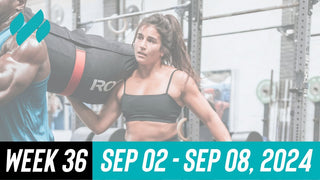 Daily Workouts W36