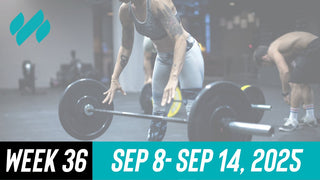Daily Workouts W36