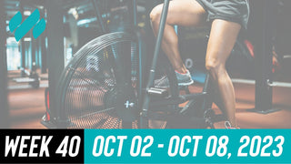Daily Workouts W40