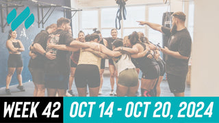 Daily Workouts W42
