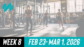 Daily Workouts W8